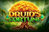 game druids-fortune