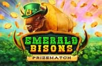 game emerald-bisons-prizematch