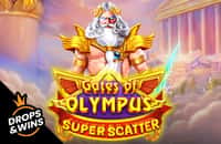 game gates-of-olympus-super-scatter