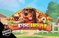 game the-dog-house