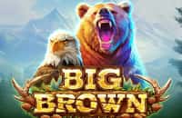 game big-brown