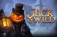 game jack-o-wild