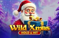 game wild-xmas-hold-and-hit