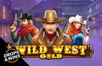 game wild-west-gold