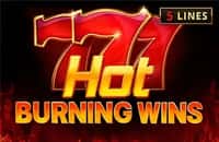 game hot-burning-wins