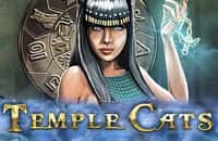 game temple-cats