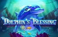 game dolphins-blessing