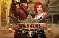 game wild-guns