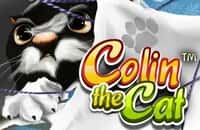 game colin-the-cat
